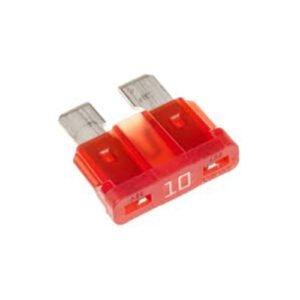 Car Fuse Big